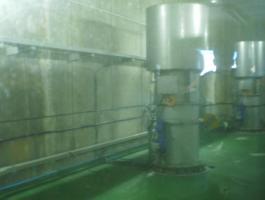 2014-1-31 Mutriku DBH4